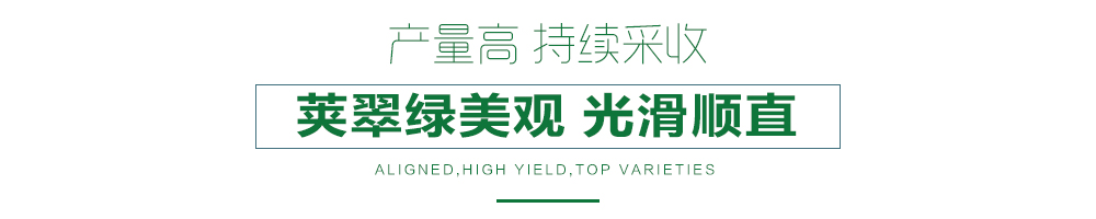 1557993277545088.jpg 詳情頁24.jpg