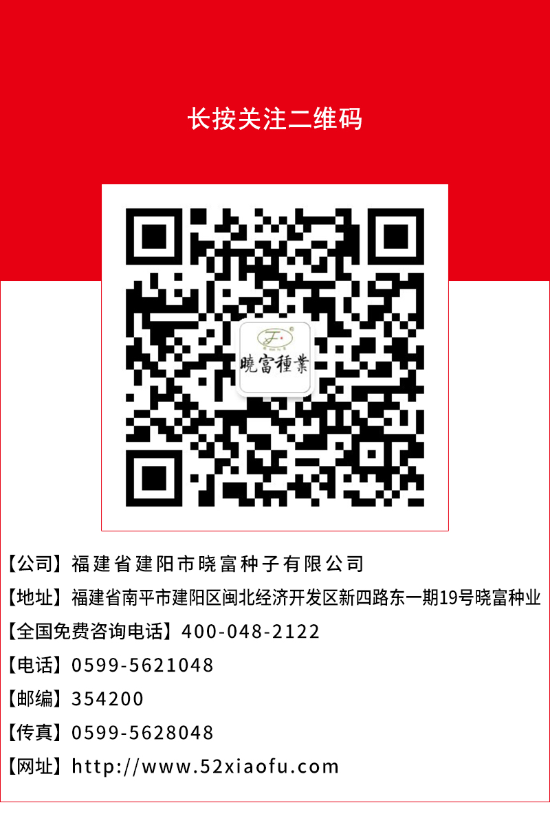 1600312912615037.jpg 頁底.jpg